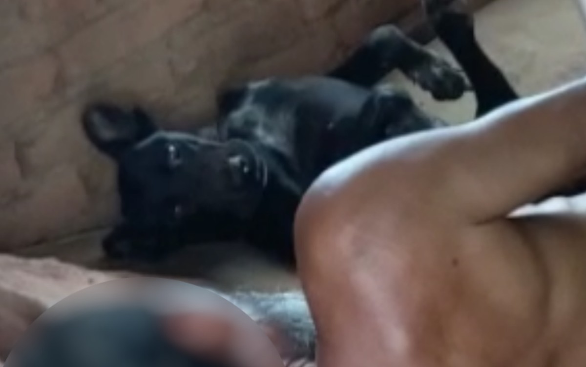 Vídeo de homem comendo cachorra
