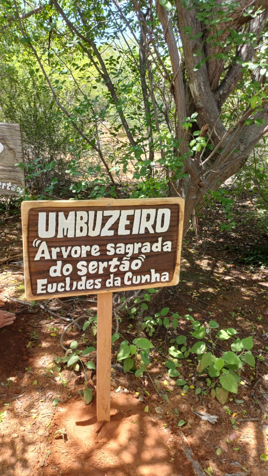 Projeto Trilha Ecológica Inclusiva do IFSertãoPE abre agendamento para visitas a partir de setembro