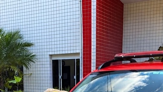 Execução de bombeiro e estudante de medicina em Caxias choca a Baixada
