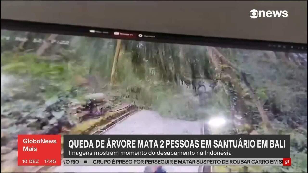 Queda de árvore gigante mata turistas em Bali, na Indonésia; VÍDEO