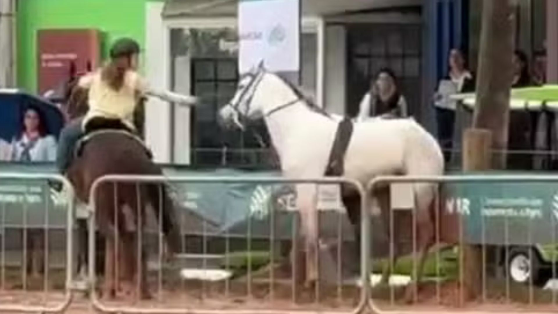 'Quando vi, ela pegou ele', relata mãe de menina de 12 anos que controlou cavalo desgovernado no RS