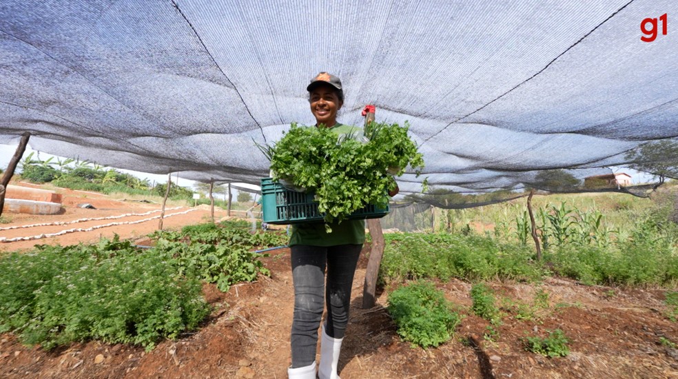 Agricultora Ana Leide Carvalho da Silva superou uma depressão após a Quitanda dos Quintais. — Foto: Gustavo Wanderley/g1
