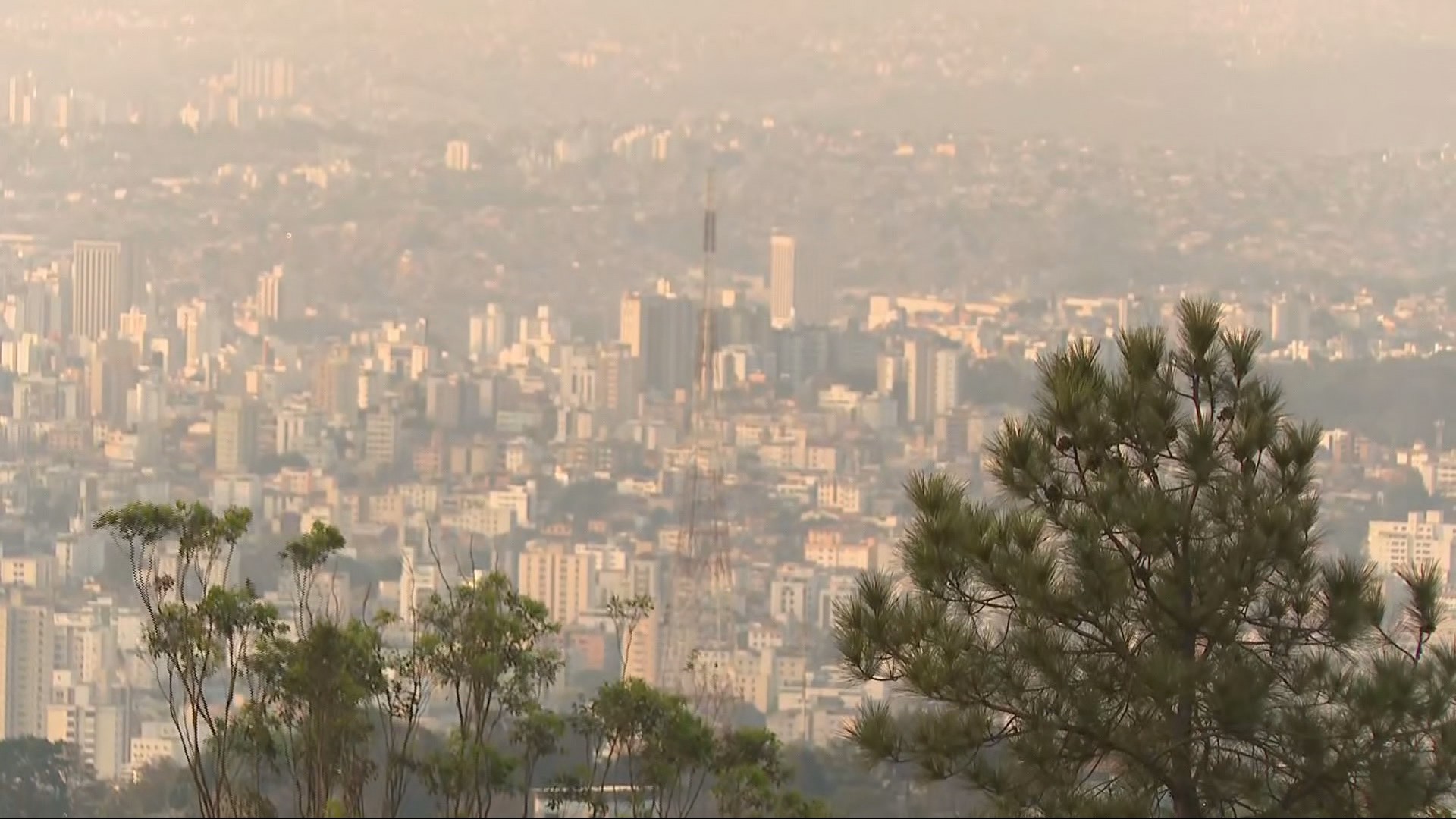 Prefeituras investem, em média, 1% das despesas em gestão ambiental, diz TCE-MG