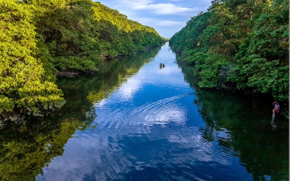 O Parque do Cocó é o maior parque natural em área urbana do Norte/Nordeste e o quarto da América Latina. — Foto: Divulgação/Sema