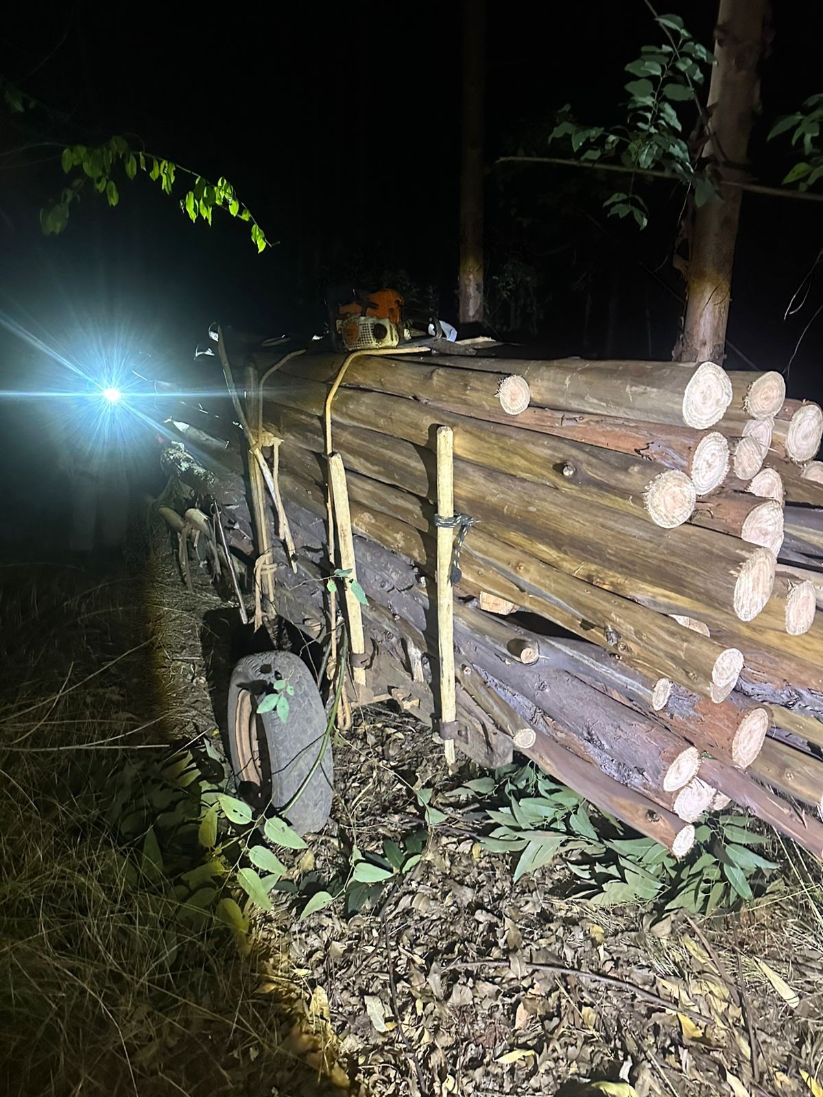 Homens são presos por furto de madeira e maus-tratos a animais em Bocaiuva