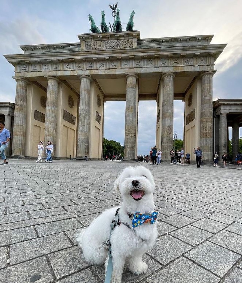 Tofu visitando Berlim, na Alemanha — Foto: Reprodução/ Instagram