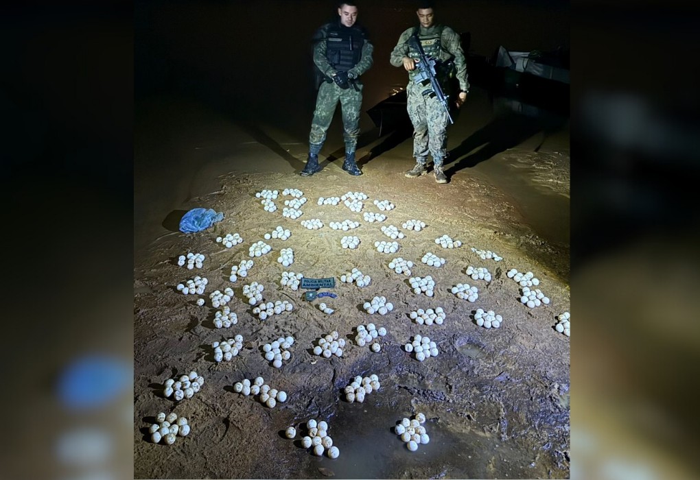 Você Não Tá Convidada pro Meu Bat Mitzvá!