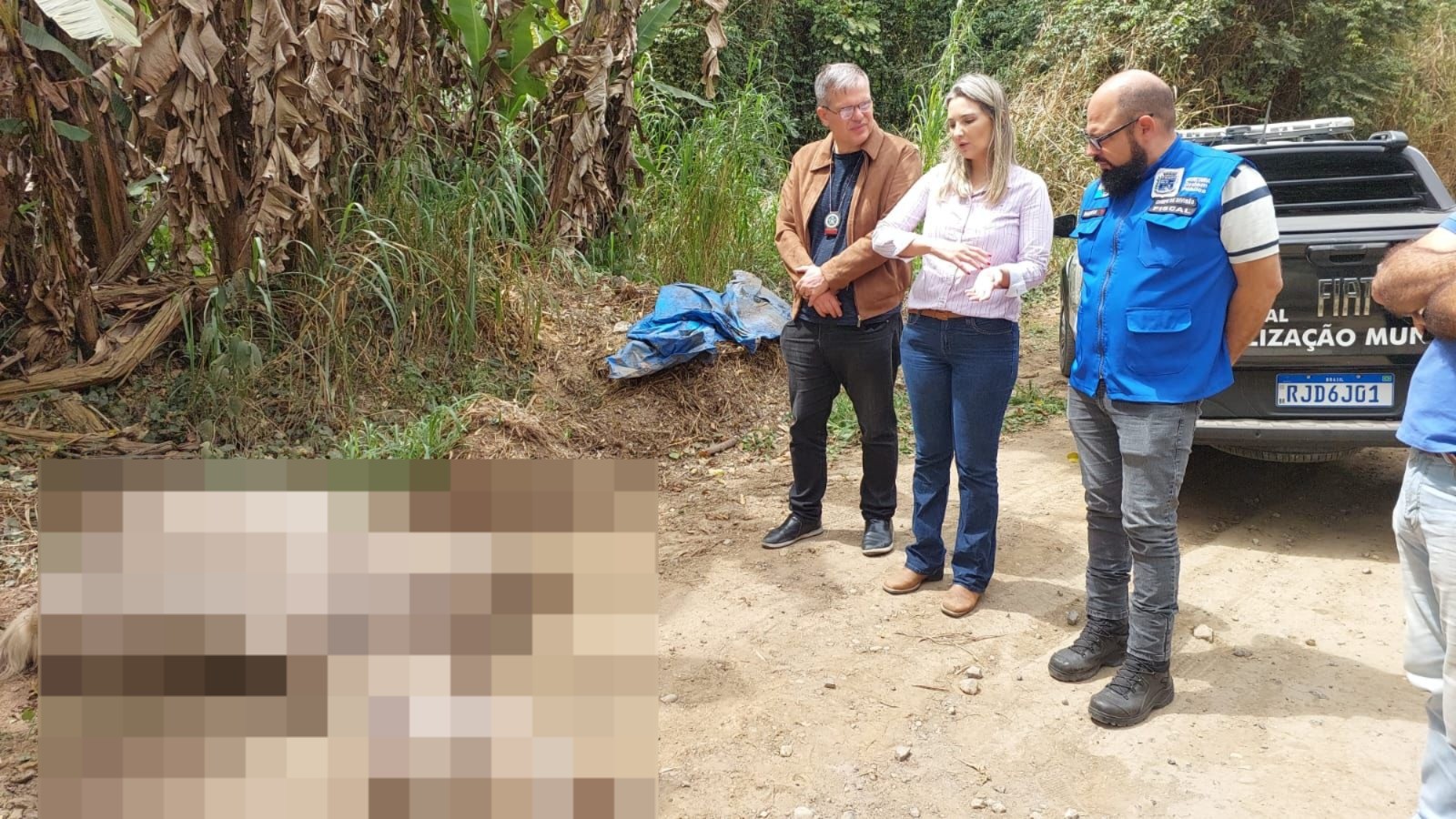 Cavalo é encontrado morto com as patas amarradas no RJ
