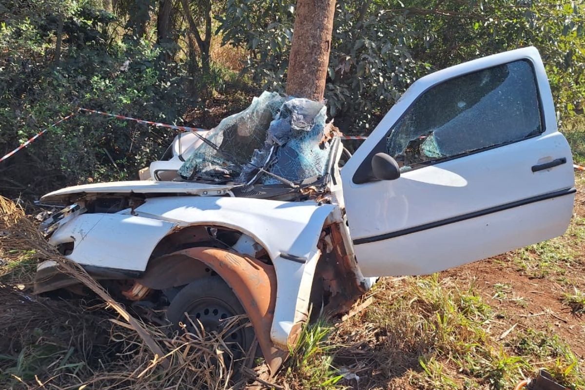 Adolescente morre após carro carregado de contrabando de cigarro bater em árvore em rodovia de MS