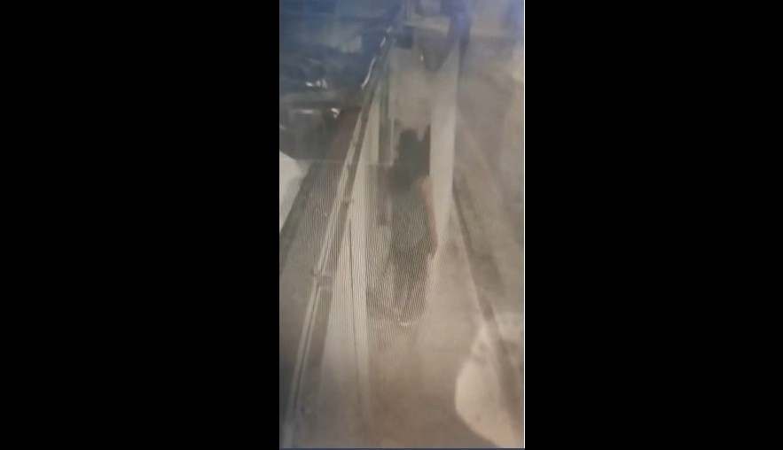 Ladrões são flagrados roubando portão de casa no Grande Recife; VÍDEO