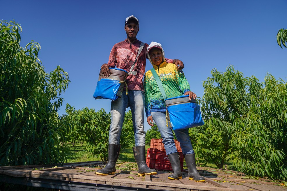Ao lado do filho, Sandra Cristina de Lima completou nove anos trabalhando com a colheita de frutas — Foto: Fábio Tito/ g1