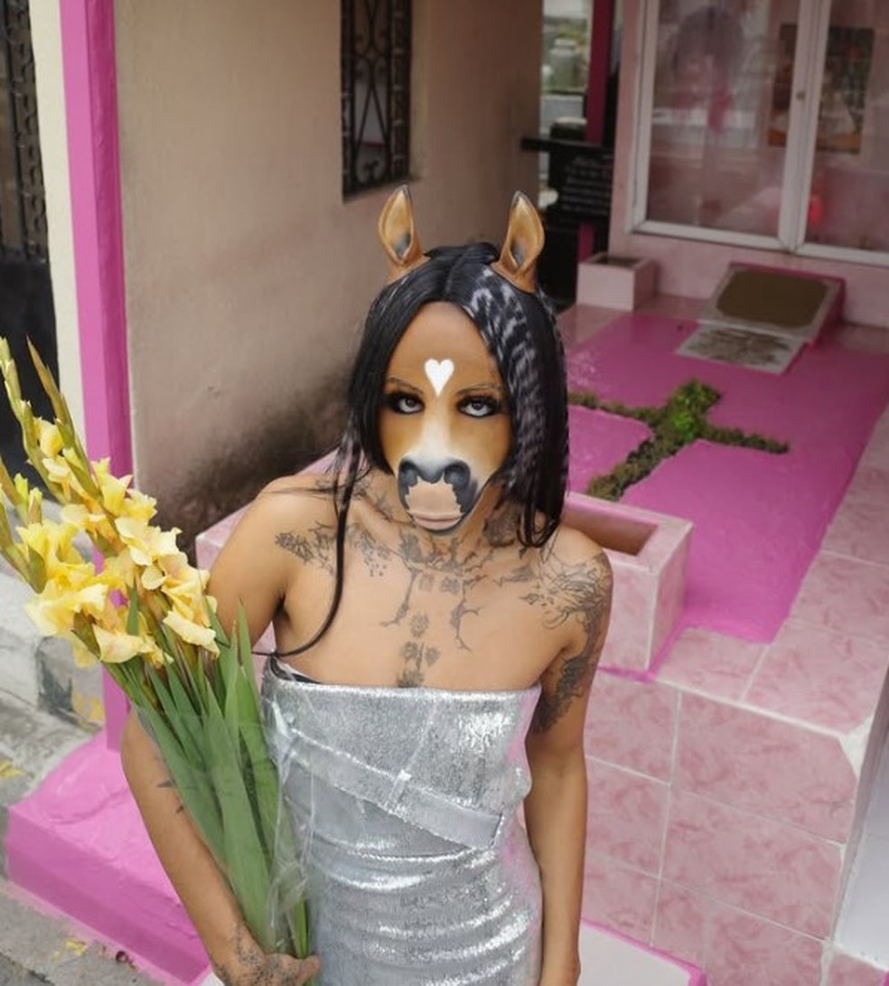 Horsegiirl, DJ alemã que só se apresenta como um cavalo — Foto: Reprodução/Instagram