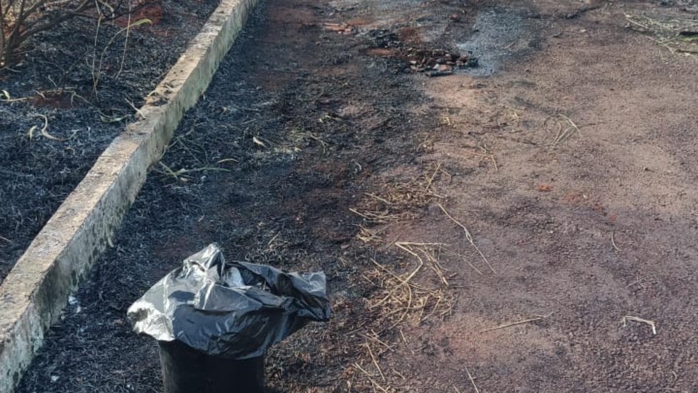 Vestígios de onde corpos foram encontrados carbonizados. — Foto: Reprodução