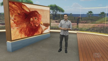 Confira os destaques do Jornal do Campo deste domingo (22)