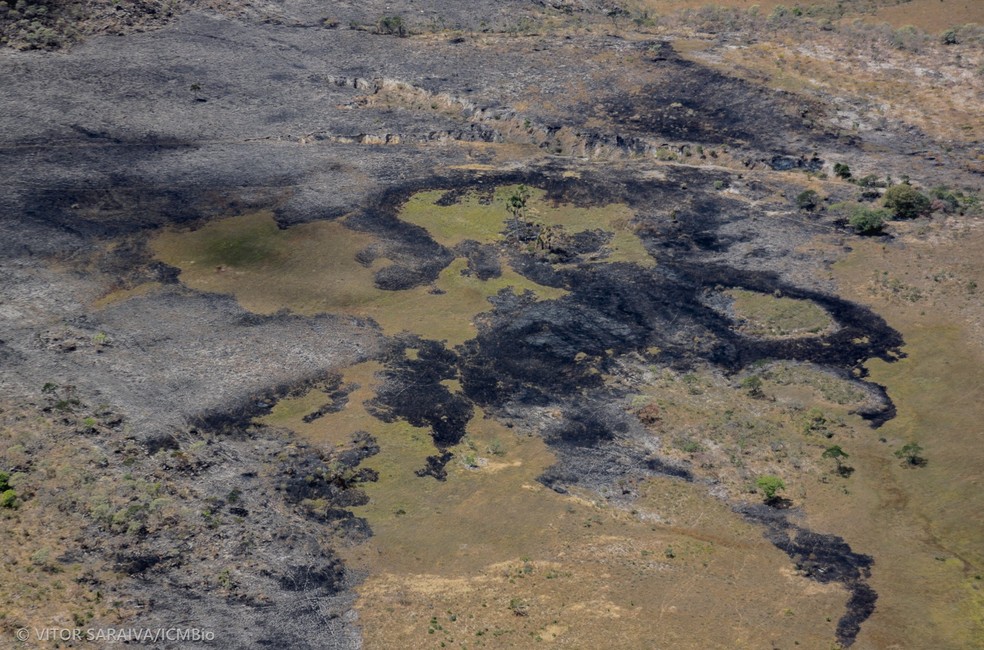 Incndio em parque da Chapada dos Veadeiros em Gois  Foto: Divulgao/ICMBio