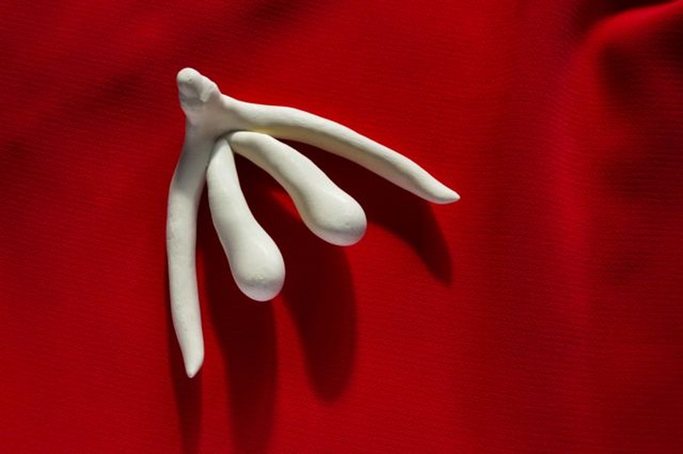 O clitóris conta com mais de 8.000 terminações nervosas, responsáveis sobretudo por gerar prazer no ato sexual — Foto: GETTY IMAGES