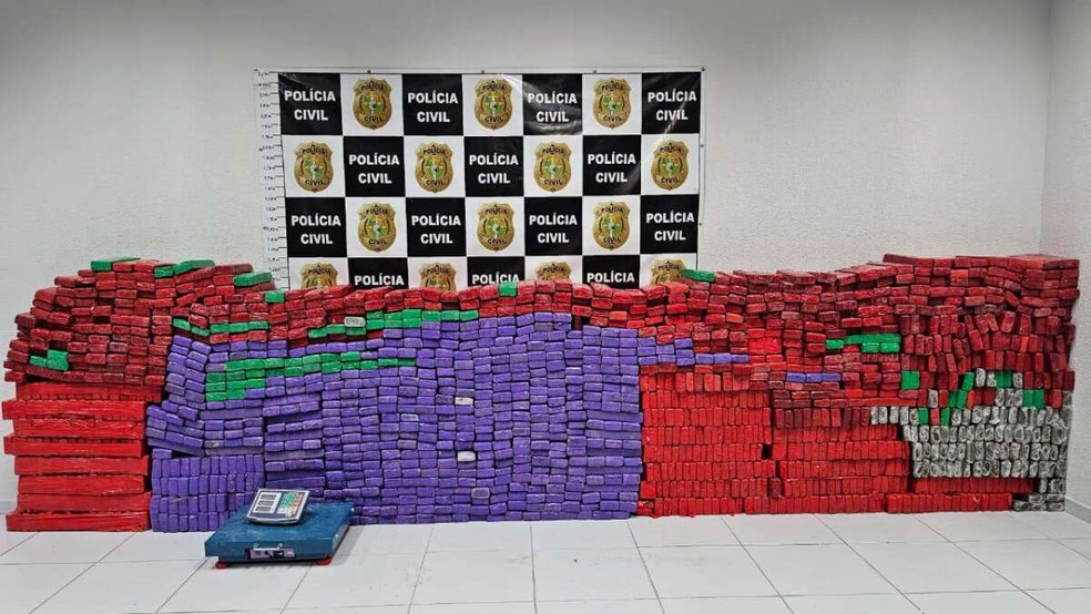 Em dez meses, Forças de Segurança do Ceará apreendem quase 10 toneladas de drogas no Estado — Foto: Divulgação