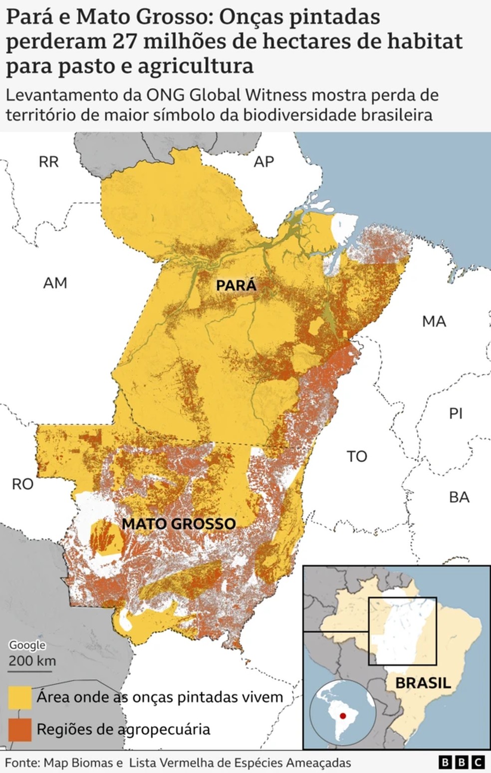 Pará e Mato Grosso: onças pintadas perderam 27 milhões de hectares de habitat para pasto e agricultura — Foto: BBC