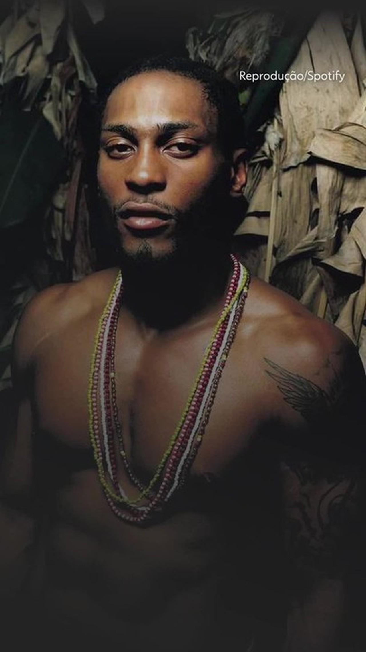 Imagem da notícia - G1