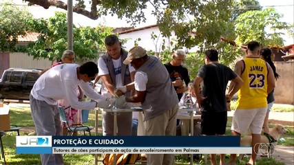 Ação aplicou coleira contra o calazar em cães da região norte de Palmas