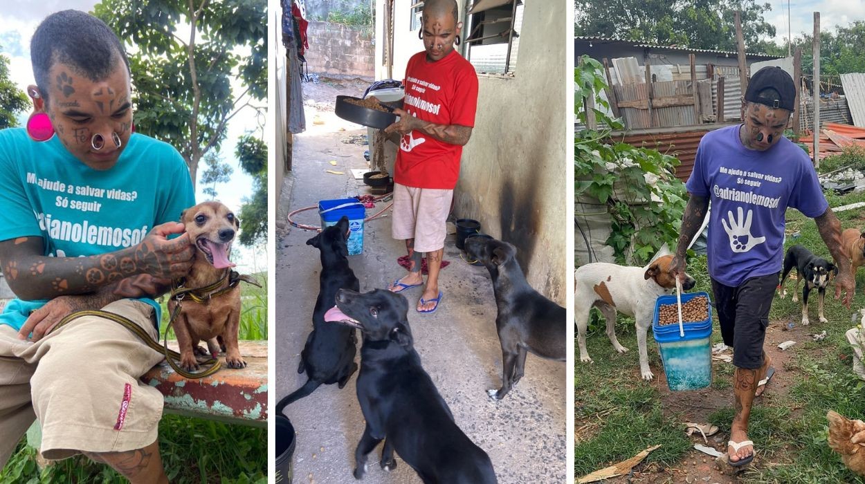 'Eles só têm a mim': protetor cuida de 93 cães e gatos e sonha ter abrigo no interior de SP