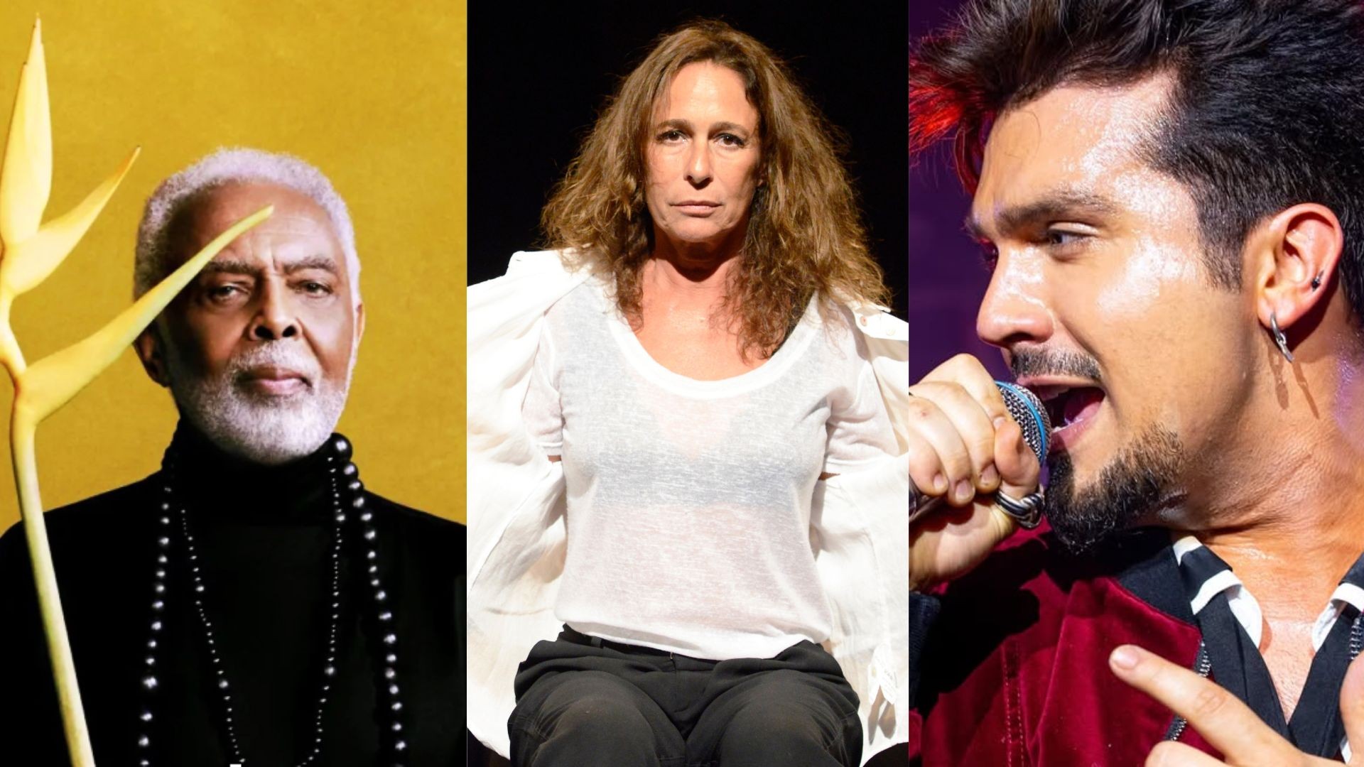 Shows de Gilberto Gil e Luan Santana, Festival do Teatro Nacional, Dia da Consciência Negra e mais: veja agenda cultural do Grande Recife