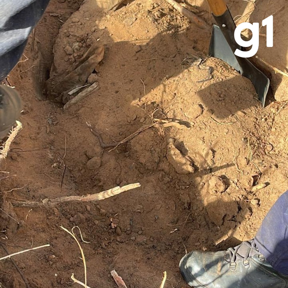 Corpo da vítima foi localizado em uma região de mata no Vale Verde, em Primavera do Leste — Foto: Polícia Civil