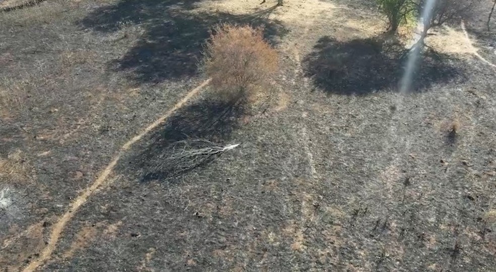 Imagem aérea do incêndio no Sul do Piauí — Foto: Reprodução/TV Clube