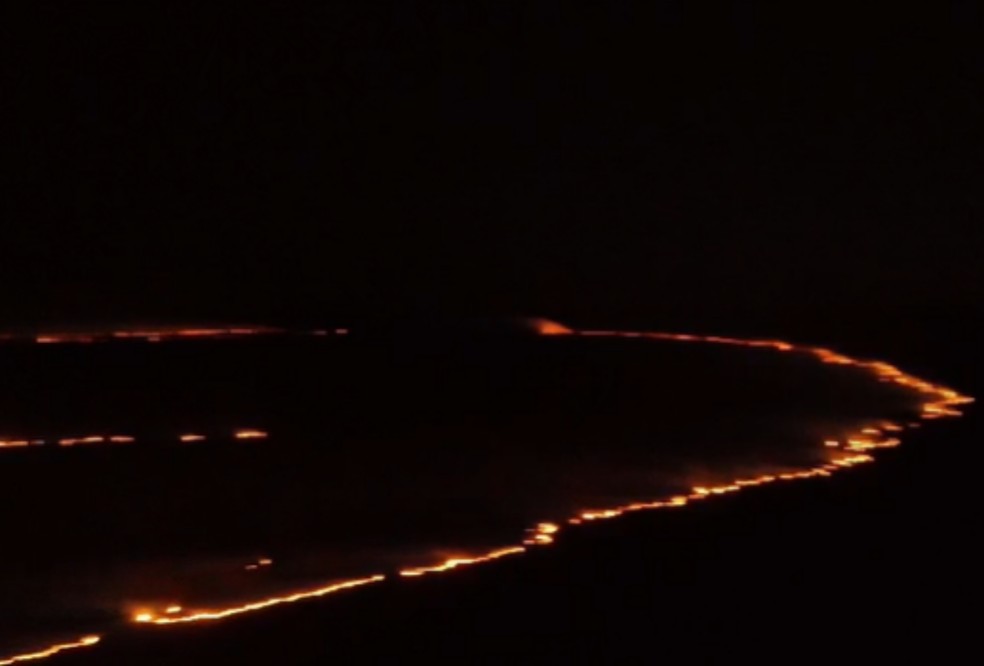 Equipes de brigadistas atuam 24 horas no combate as chamas no Pantanal — Foto: PrevFogo