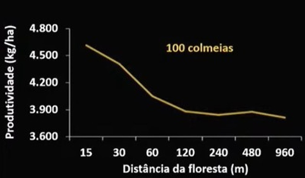 Produtividade de soja diminui conforme a distância das colmeias aumentam — Foto: Embrapa