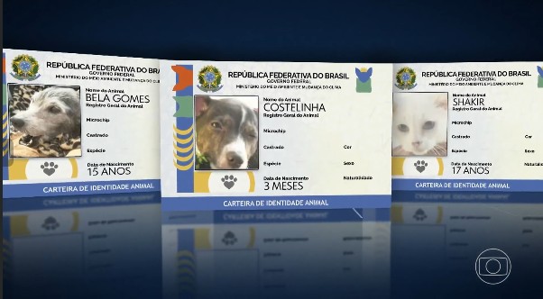 Mais de 1 milhão de pets ganham carteira de identidade no Brasil