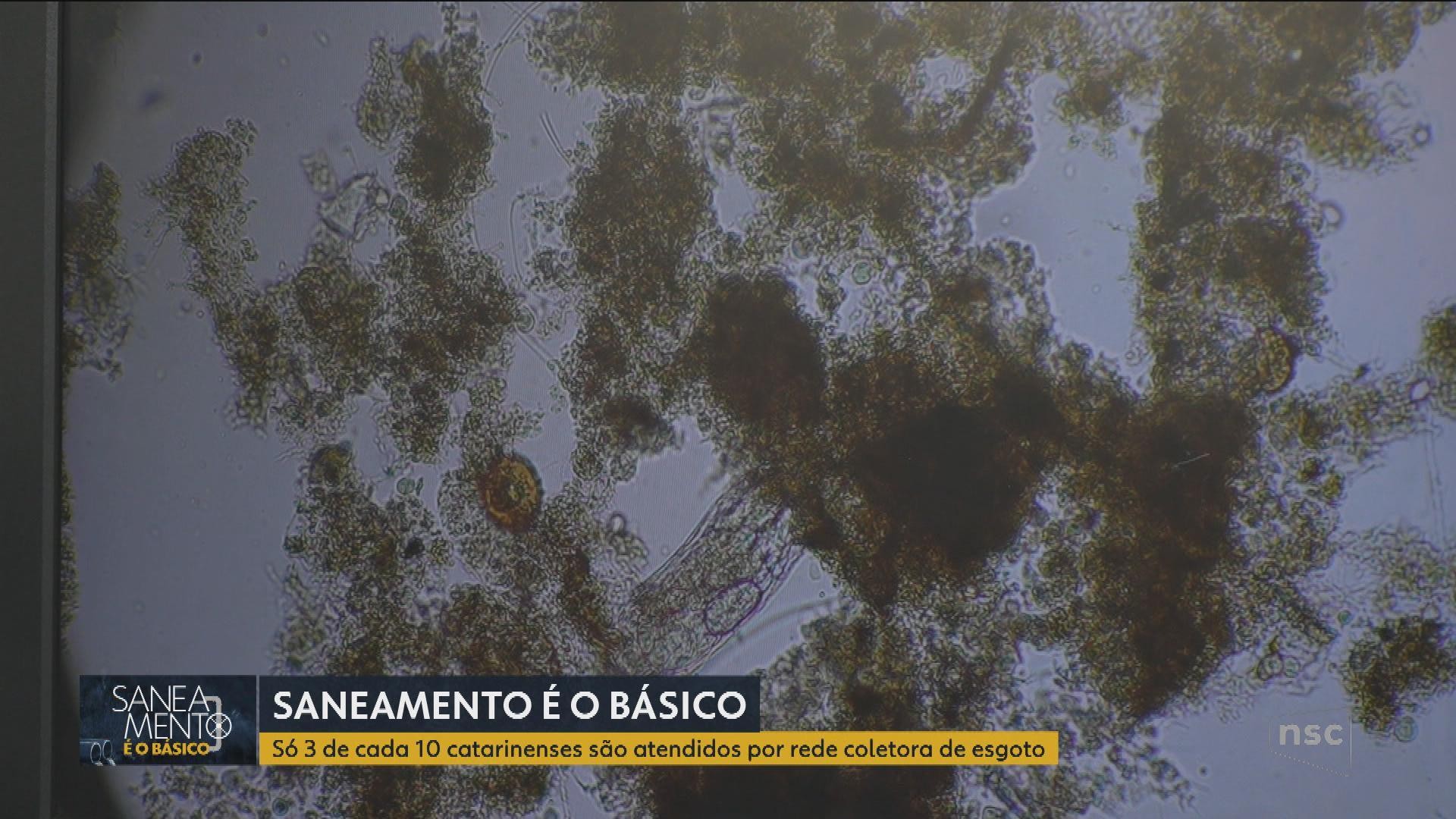 VÍDEOS: série 'Saneamento é o Básico' mostra impactos e discute soluções 