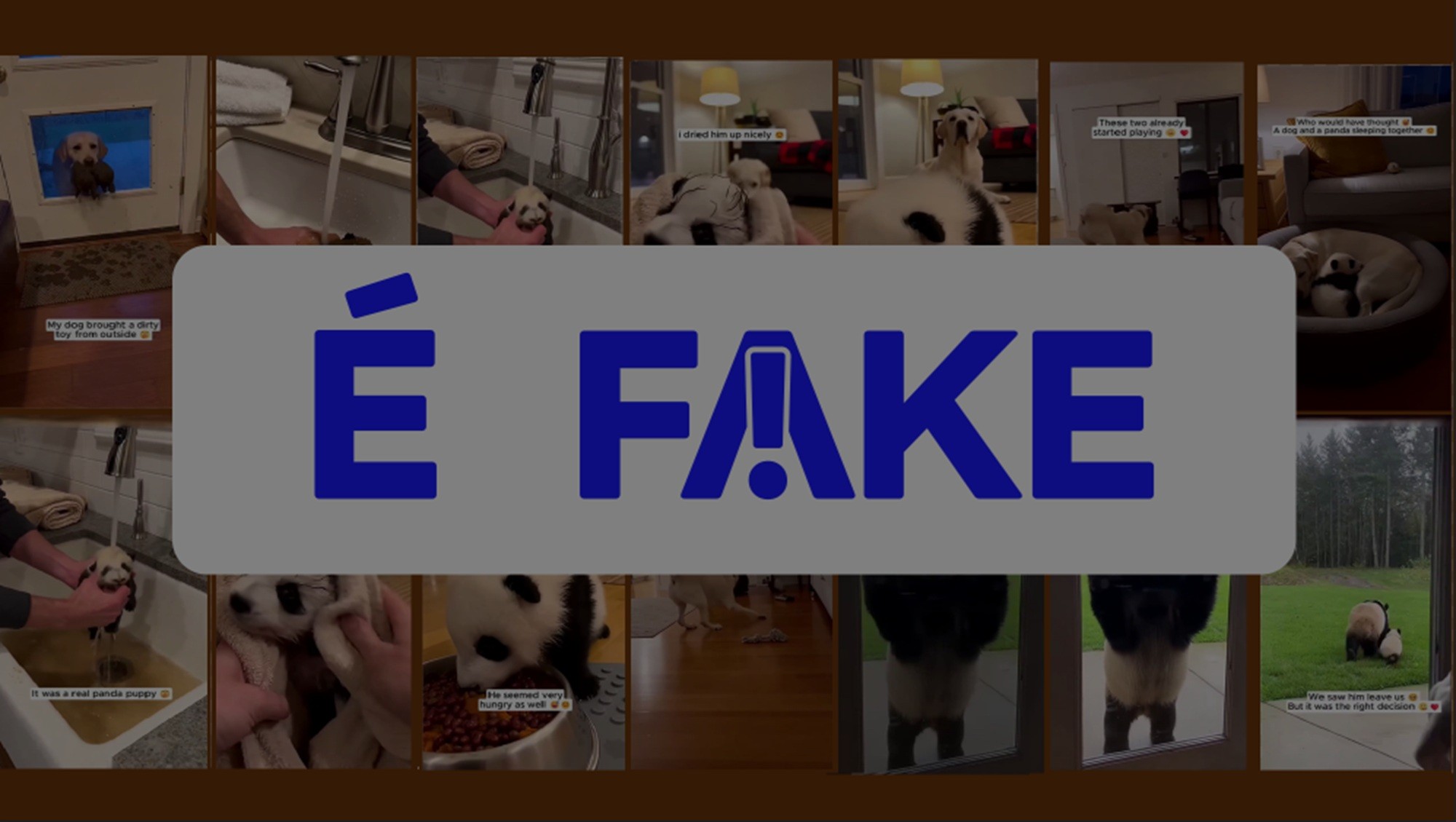 É #FAKE vídeo de cachorro entrando em casa com filhote de panda na boca; cena foi criada com inteligência artificial
