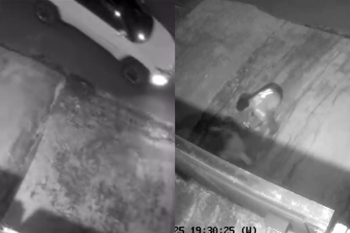VÍDEO: tentativa de sequestro é investigada pela polícia após motorista jogar carro sobre crianças e correr atrás delas no PR