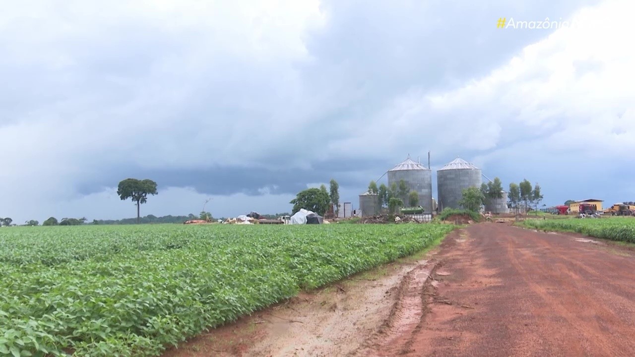 VÍDEOS: Amazônia Agro deste domingo, 26 de julho de 2026