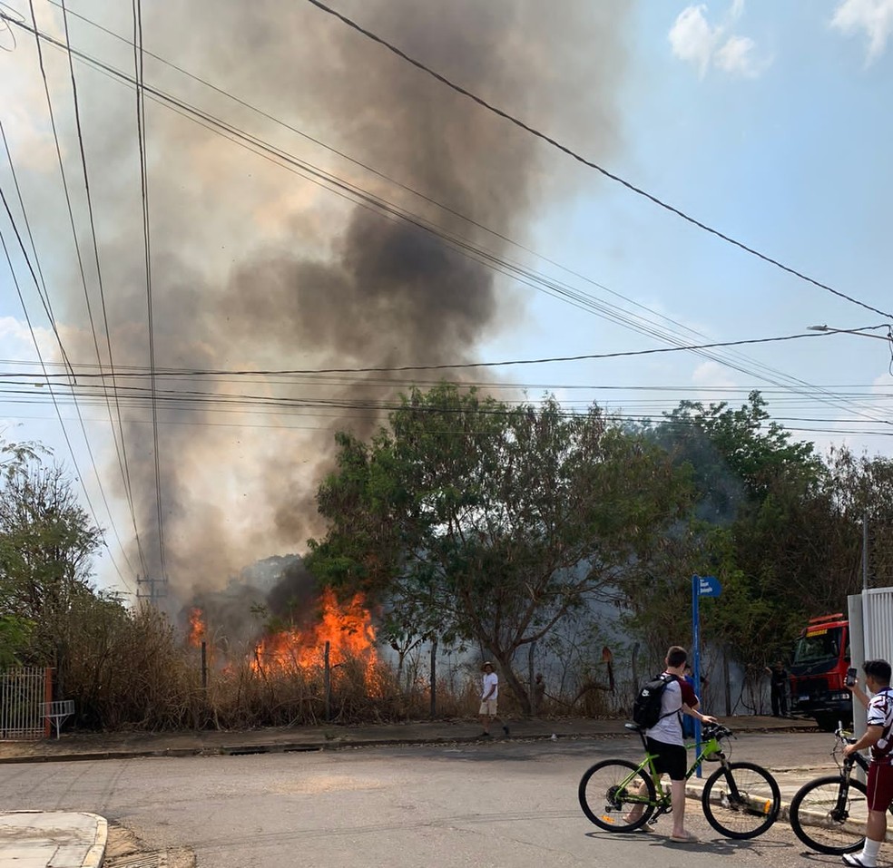 Câmera de segurança flagra homem ateando fogo em terreno em avenida de MT — Foto: Reprodução