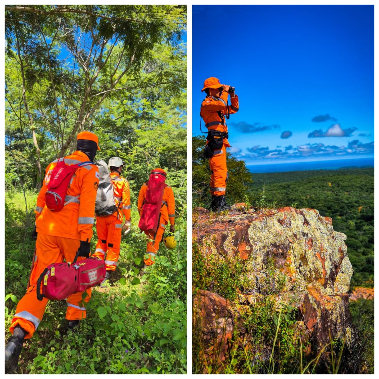 Idoso desaparecido há 9 dias é encontrado morto em área de mata na zona rural de Pedras de Maria da Cruz