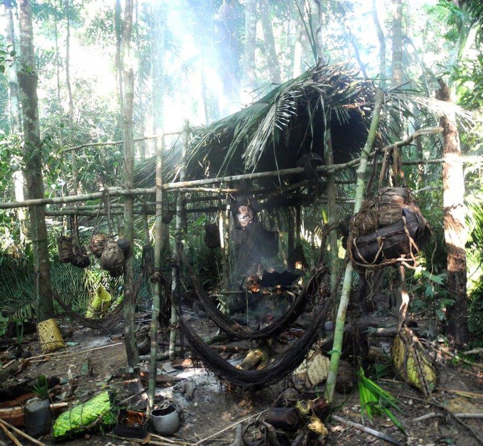 Terra Indígena Kawahiva do Rio Pardo está localizada em Colniza (MT); foto tirada em 2015 — Foto: Jair Candor/Funai