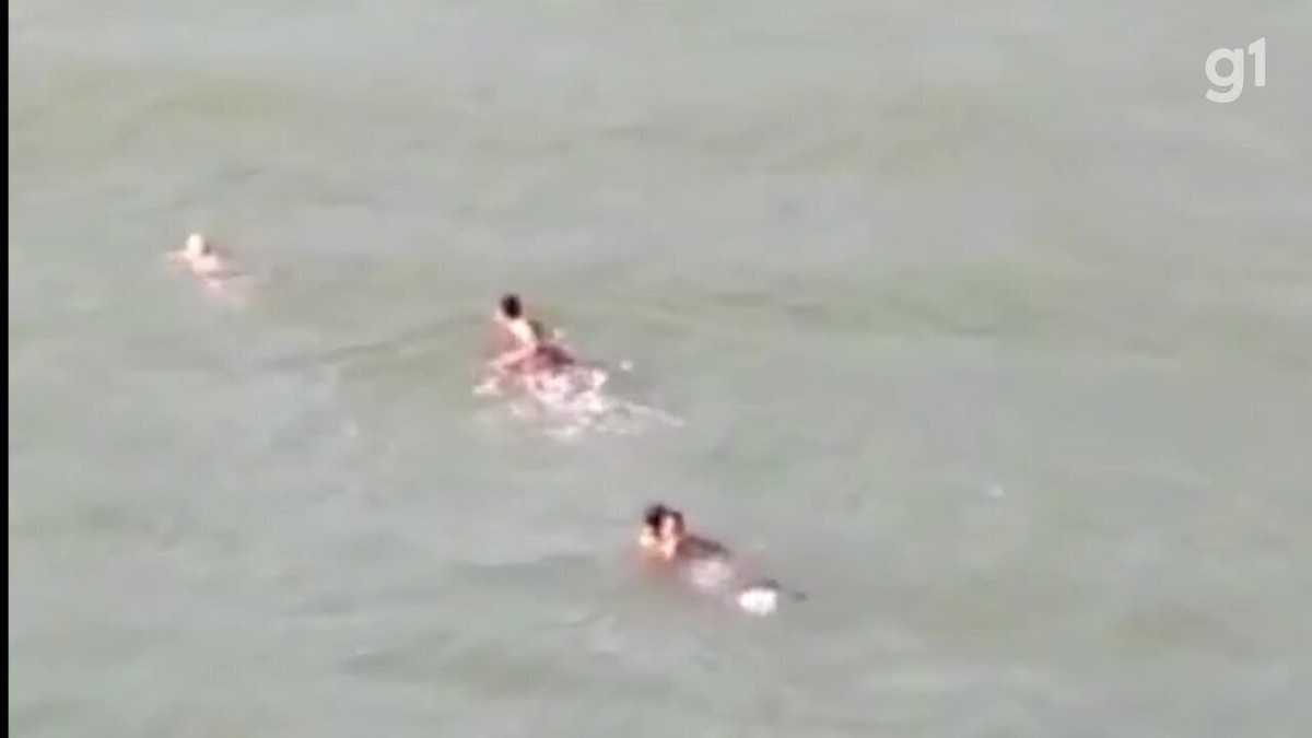 Avó e neta são salvas de afogamento no litoral Paranaense [vídeo] –