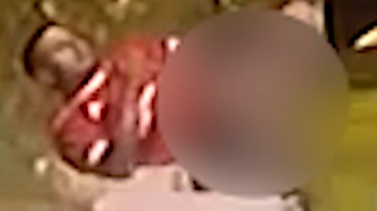 Lutador é condenado a 18 anos por homicídio triplamente qualificado de Moïse Kabagambe