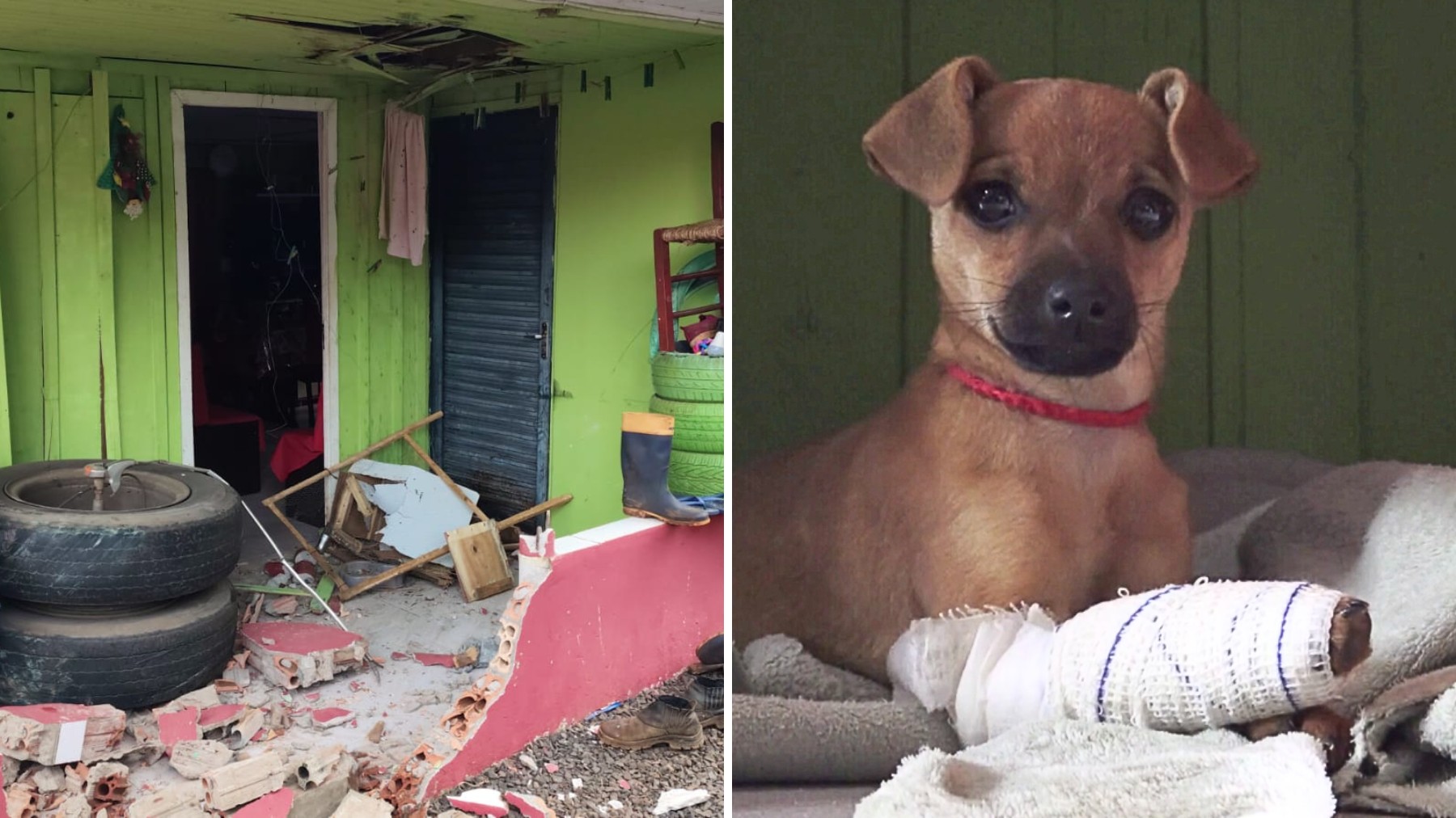 Pneus se soltam de caminhão, invadem varanda de casa, machucam cachorrinha e por pouco não atingem morador, no Paraná: 'Quando vi, saltei'