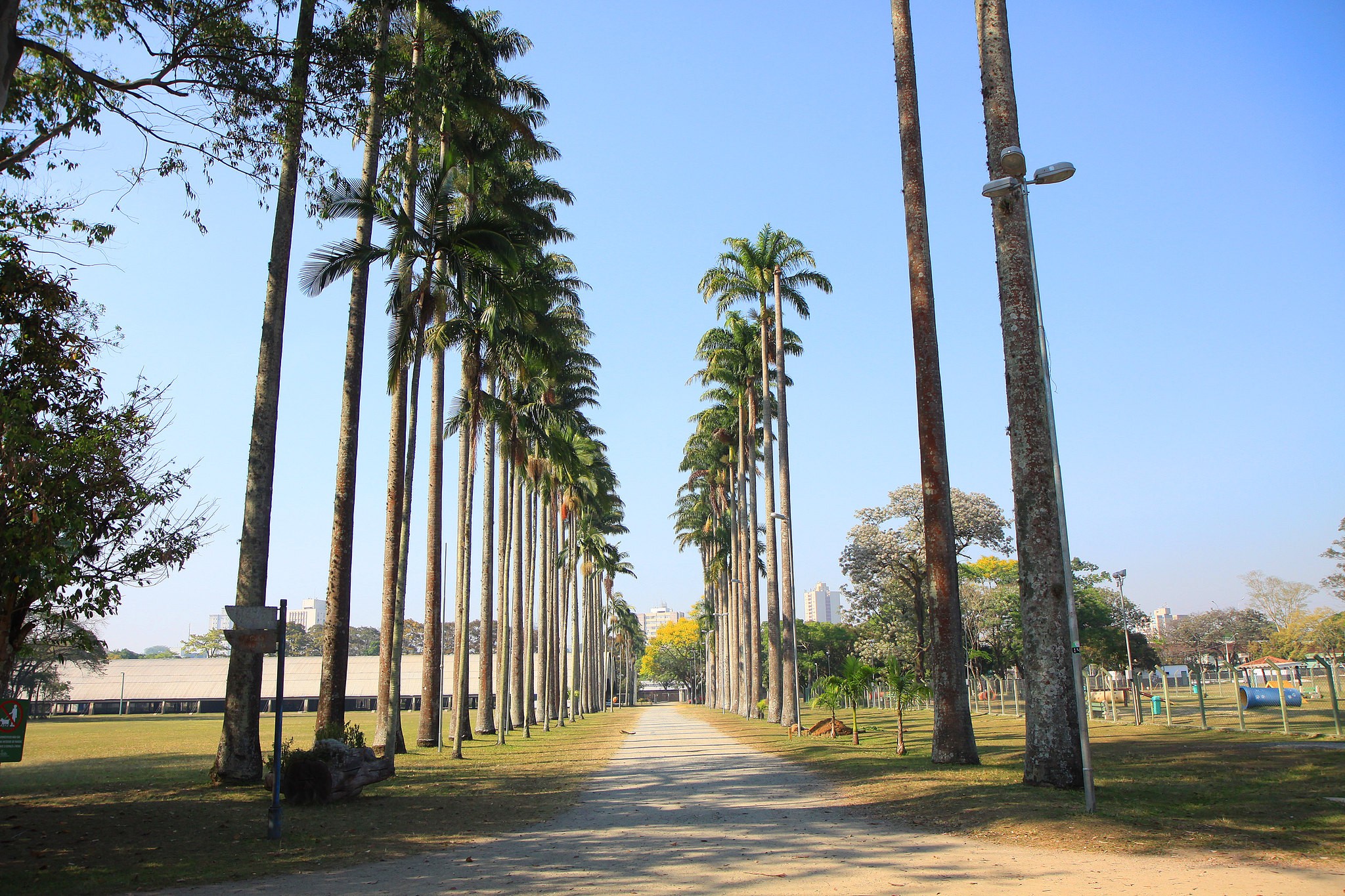 Calor de até 35°C e pancadas de chuva: veja a previsão para o feriado prolongado de Tiradentes na região