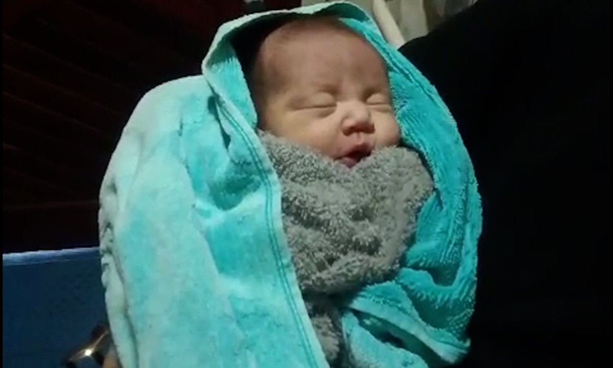 VÍDEO: Bebê prematuro é resgatado dentro de cooler após naufrágio no Encontro das Águas em Manaus