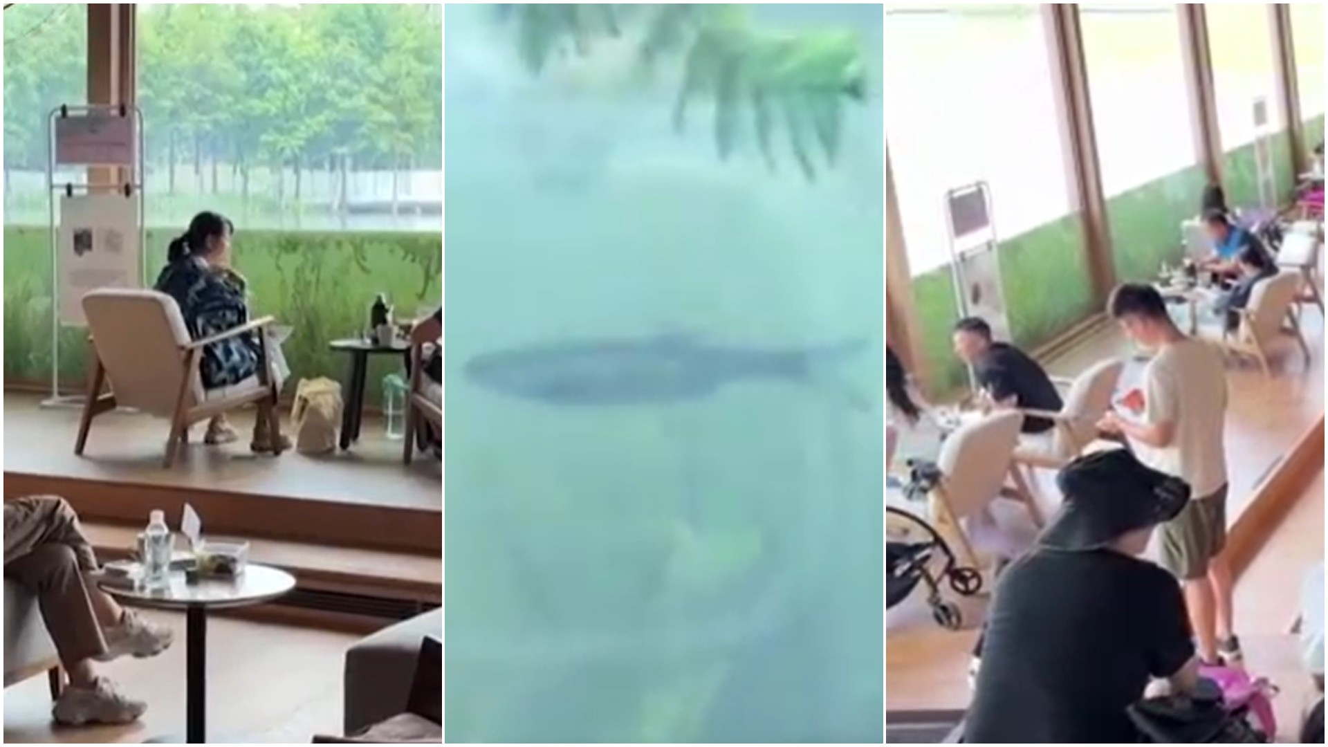 VÍDEO: Livraria 'subaquática' na China atrai turistas e moradores para ver fundo de lago