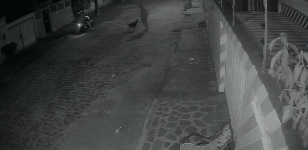 Homem é suspeito de disparar contra cachorro em Guarabira — Foto: Reprodução/TV Cabo Branco