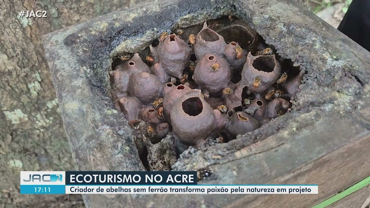 VÍDEOS: Jornal do Acre 2ª Edição desta quarta-feira, 28 de outubro de 2026