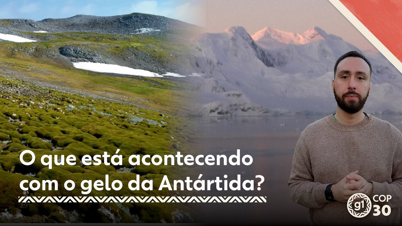 Pele de peixe gigante da Amazônia vira bolsa de luxo, mas ganho não chega a pescadores