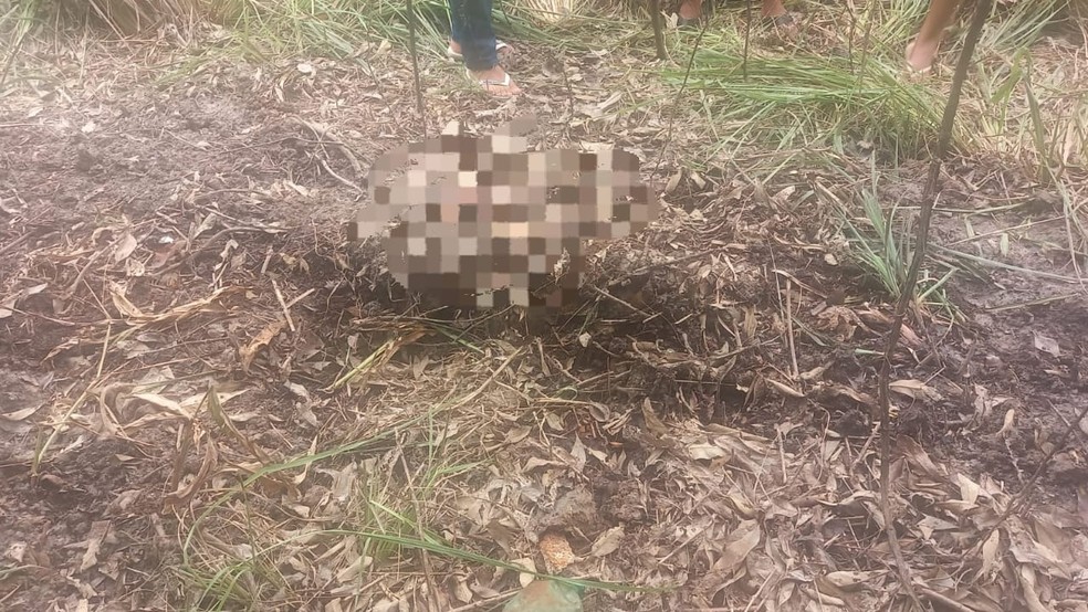 Corpo é encontrado em cova rasa próximo à UFMA, em São Luís; vítima é jovem desaparecida há três dias, diz família — Foto: Divulgação/Redes sociais
