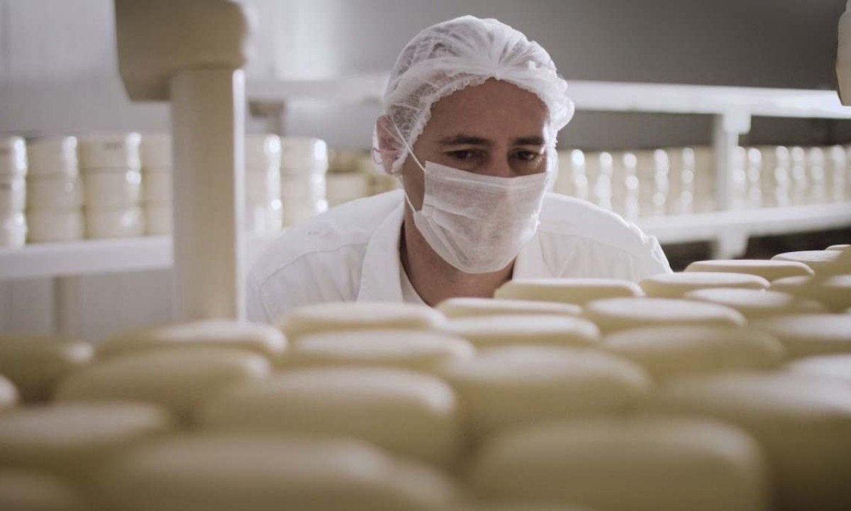 Do interior para o pódio: Queijo de Juiz de Fora conquista medalha de ouro no 'Mundial do Queijo Brasil'