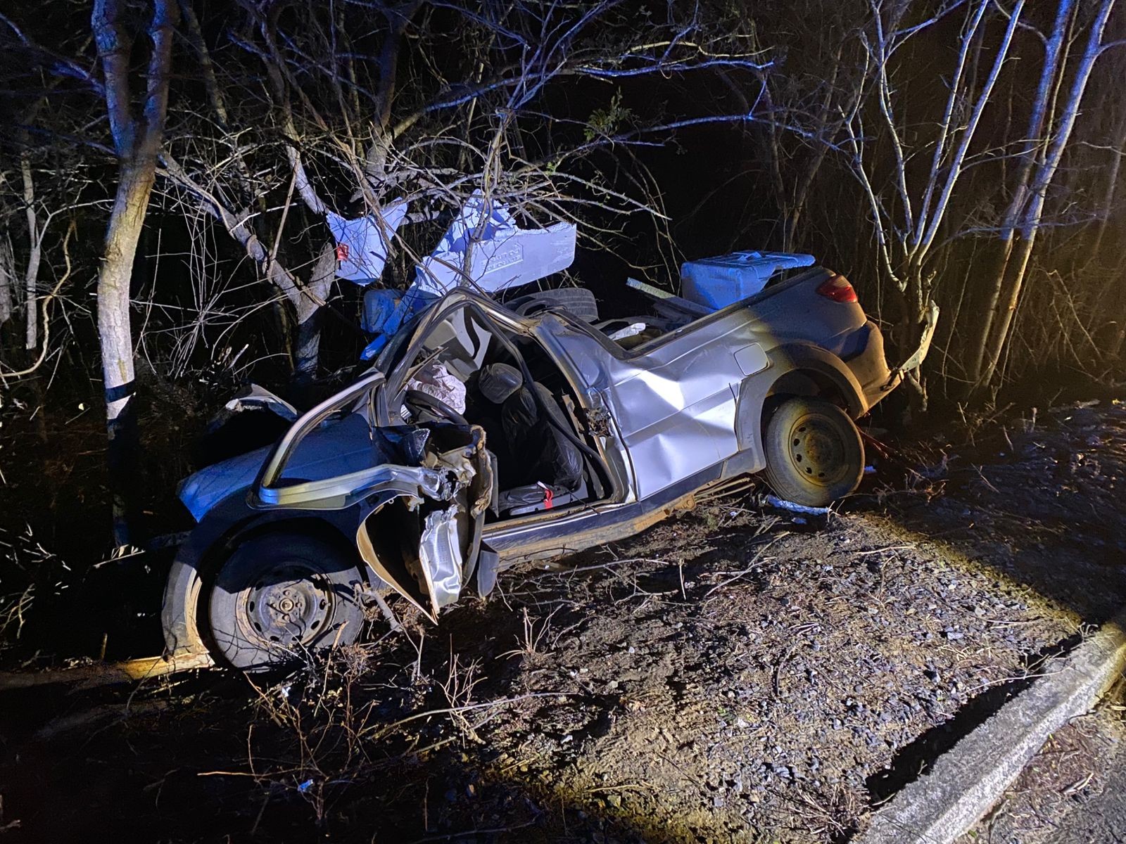 Motorista morre após caminhonete bater em árvore na MGC-401 – G1